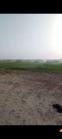 ١٠٠ دونم • ٨٠ دونم مزروعة • ٥٠ دونم مرشات