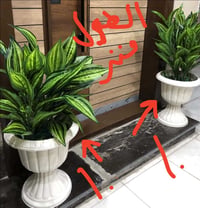 بغداد الشعب • ديكور حديقة