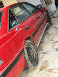 للبيع أبو مراوس حسب القناعه السعر ٢٥ بيها مجال ٠٧٨٣٥٠٢٠٣٤٤