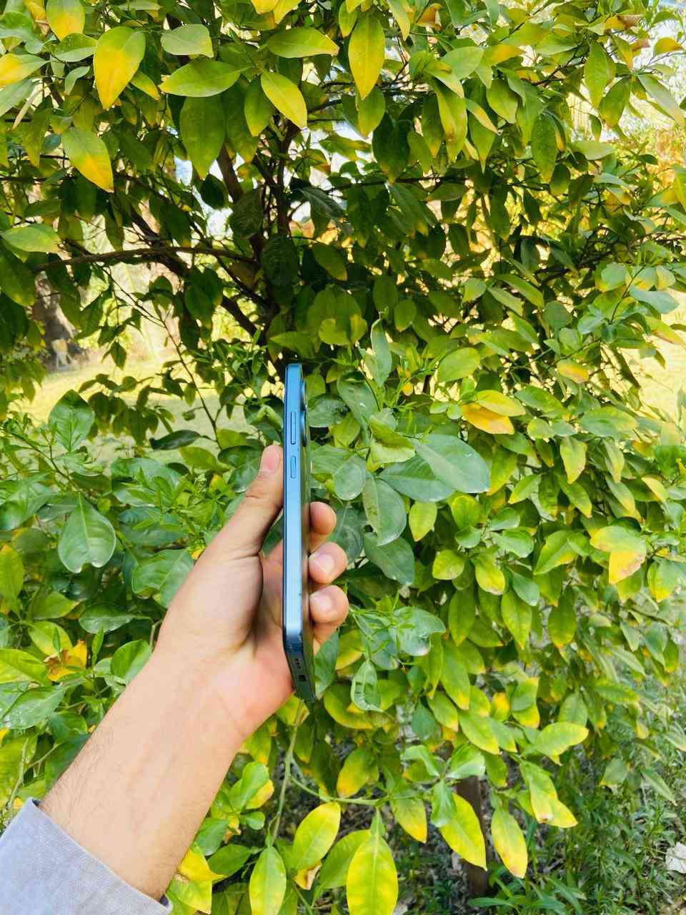 ريدمي 13 C(اعاده النشر بسبب الوعود الكاذبة )
ذاكره 256/8 

بي فطور بل شاشه ما مأثر نهائيا 

جهاز كله شغال 

السعر بلاش 65 قفل


**إذا كنت صاحب هذا الإعلان وتريد حذفه لأي سبب، رجاءا أرسل رسالة إلى الدعم الفني**