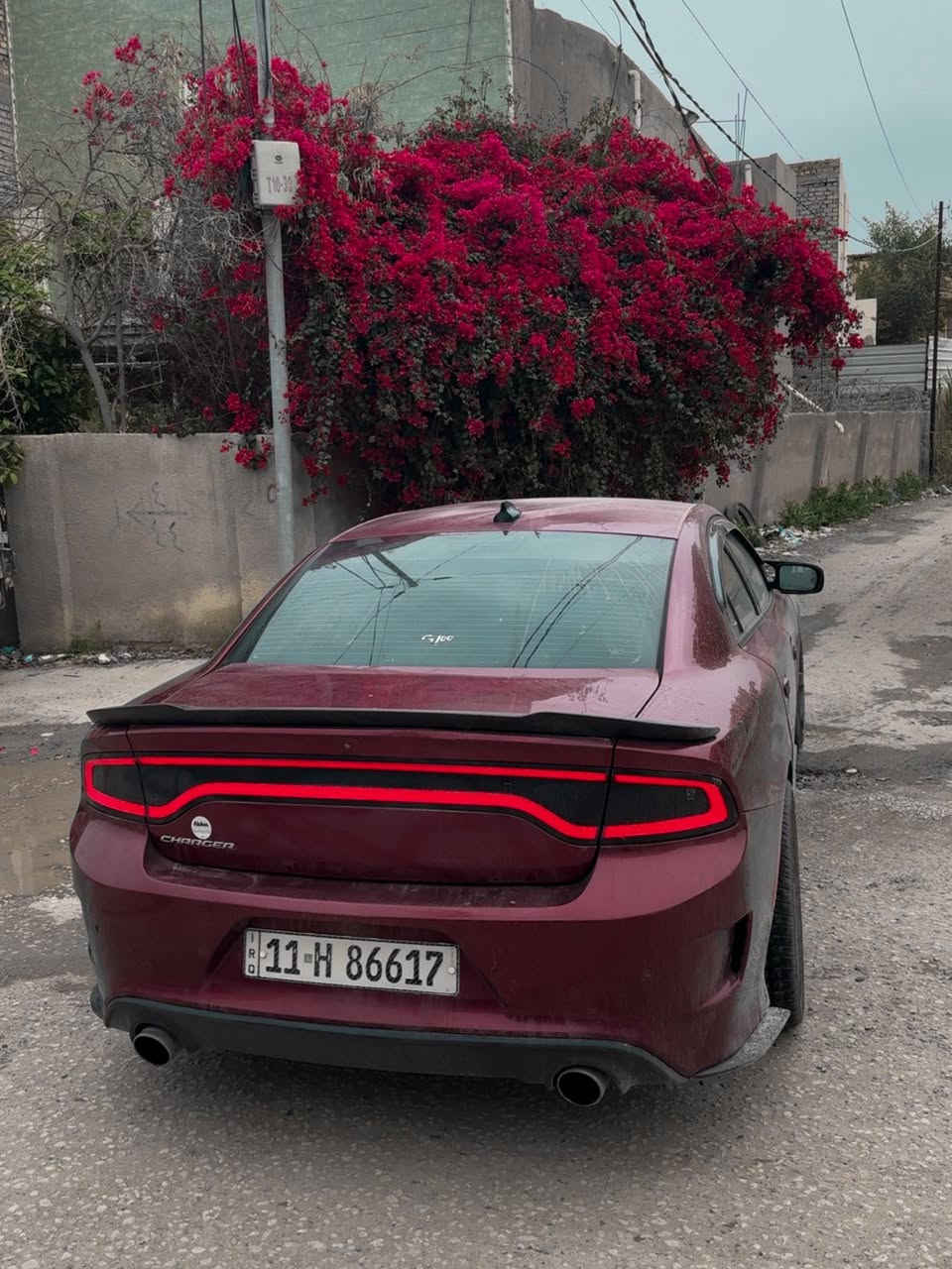 السلام عليكم للبيع او مراوس بg70 او g80
جارجر RT دايتونا 2017 5700
ماشيه100 الف حقيقي
المواصفات
فول عدا الفتحة والرادار
كشنات حظن أسود كنتارا شعار الدايتونا اصل
المقاعد الامامية كهرباء 
ذاكرة لحفظ وضعيات الجلوس
كشنات الامامية تدفئة تبريد 
كشنات الخلفية تدفئة 
ويل 20 SRT 
تشغيل عن بعد
شاشة واوبشات SRT 
4 انظمة قيادة
الشاشة جبيرة U connect تدعم كار بلي
مختمه بكل مكان دايتونا
شوته موبار SRT بلادي
كامرا خلفية 
الاكزوز بلادي فقط تفريغ
وباقي مواصفات الدايتونا معروفة
الاضافات
بلكات ريسنگ فيول بم
لويات ايباخ
داون بايب 
برمجة عقل وكير ومكينه مصطفى ايكل 
______________
الحادث : دعامية امامية وشوية من البدنة
صبغ جزء من البنيد وبيها بارد بدون تبديل اي قطعه

مكاني الحلة
ملاحظة: سياره مسويله سيرفس كامل ادمه منضومه الاحتراق + دهن جديد + باتري  جديد + بوليش 
بيها نقص زوج تايرات امامية فقط
رقم بغداد الجديد وسنوية وهزة جديدة تحويل ثاني يوم 
السعر  195
***********
