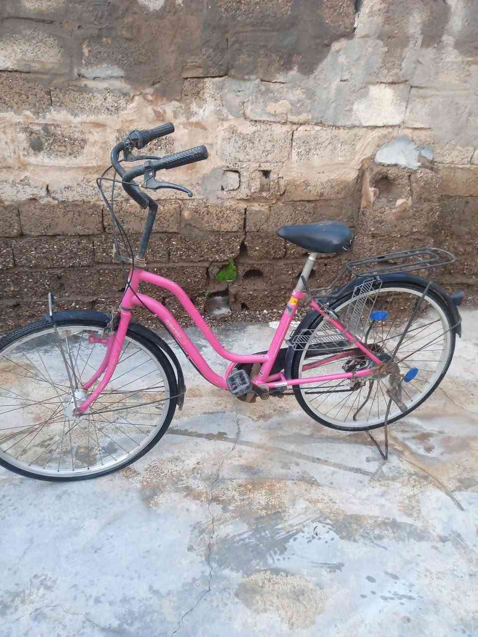 سلام عليكم بايسكل للبيع كامل مكمل بريكات أمامي خلفي جوابة تايرات جدد حجم 26  كلوب شغال  كلة بلادي  كلشي ما يحتاجلة  السعر 75 بي مجال للطيبين مكاني ديالى المقدادية الأحمر مقابل مكتب العصائب


**إذا كنت صاحب هذا الإعلان وتريد حذفه لأي سبب، رجاءا أرسل رسالة إلى الدعم الفني**