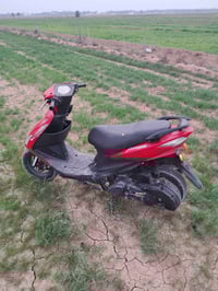 دراجة للببع بوشة 49  07804210478