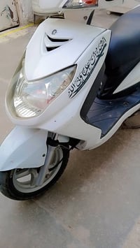 سكنس فحل • ياباني • نوزل