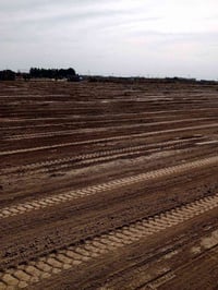 أرض زراعي • الغراف • ١٢دونم