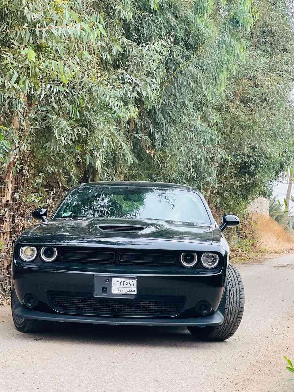 سلام عليكم
جالنجر  للبيع
موديل ٢٣. جتي بلاس
سياره فول من عدى الفتحه دخول جديد. ماشيه 37كيلو حقيقي
بعدها كفاله شركه رقم بغداد وتحويل ثاني يوم 
فلوجه لأنبار 
***********
