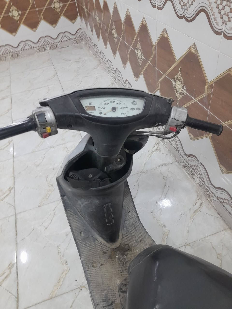 سعرها ٣٠٠ مع مجال 

كلها بلادي 

مكاني نجف قرية الغدير الأولى ***********وتساب
