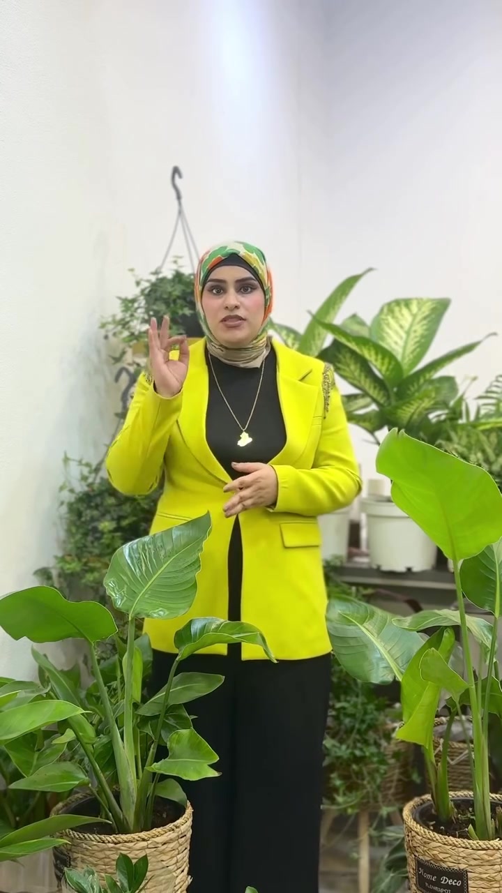 � كل نبتة إلها قصة… وحبّينا نكون جزء منها.

في Viola Plants ما نبيع نباتات وبس، إحنا نؤمن إن كل نبتة تحتاج بداية صحيحة ورعاية تستمر.

لهذا وفرنالك خدمات تخلي تجربة العناية أسهل وأجمل:

🌱 استشارة مجانية داخل المحل
نساعدك تختار النبتة الأنسب حسب الإضاءة، المساحة، وأسلوب حياتك.

📋 كرت عناية مع كل نبتة
حتى تبقى معلومات العناية دائمًا بمتناولك، ويضم:
• اسم النبتة
• الإضاءة المناسبة
• طريقة السقي
• تعليمات العناية
• أهم التحذيرات

💚 عيادة فيولا للنباتات
إذا حسّيت نبتتك تعبانة، لا تفقد الأمل.
أرسل لنا صورتها أولًا، ونرشدك للحل الأنسب. وإذا احتاجت عناية داخل المحل، نستقبلها بكل اهتمام حتى ترجع بأفضل حال.

لأن نجاح نبتتك… هو نجاح قصتنا معاك. 🌿💜

📍 Viola Plants
الموصل – حي الرفاعي – قرب مكتبة الآن.

#ViolaPlants #فيولا_بلانتس #الموصل #نباتات #نباتات_داخلية عناية_النباتات ديكور_منزلي تنسيق_النباتات مشاتل اكسبلور Explore


**إذا كنت صاحب هذا الإعلان وتريد حذفه لأي سبب، رجاءا أرسل رسالة إلى الدعم الفني**