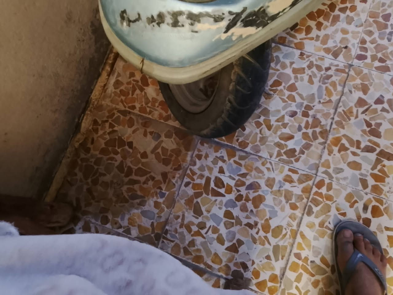 مطور للبيع شغال أو امشي  فحم في فحم أو تفصيخ ابيع***********
