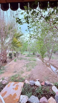 ☆♤مزرعة  رقم 227♤☆ العاب جميلة ومتنوعه مع بستان فواكة جدا جميلة زحليكه...