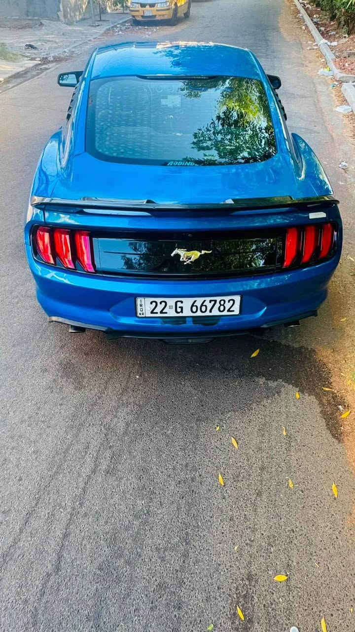 سلام عليكم 
موستنك ايكو بوست موديل 2019
بجم كبس حادثها جاملغ خلفي وباب بدون دواخل بدون ايرباك 
صور الحادث مرفقه 
مواصفات الايكو المعروف 
عليها ادامه كامله 
صدر امامي خلفي جديد
تخم تاير 
رقم وهزه وسنويه جديده بسمي ثانيوم تحويل
السعر 133$ بيها مجال بسيط 
مكان السياره بغداد الغزاليه شارع مدير الامن 
*********** بغداد, العراق
