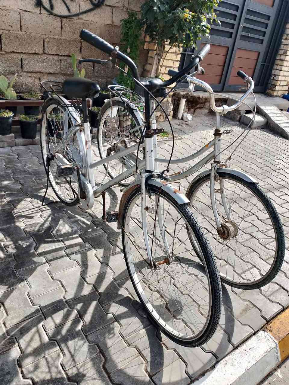 متاح السعر الواحد 70


**إذا كنت صاحب هذا الإعلان وتريد حذفه لأي سبب، رجاءا أرسل رسالة إلى الدعم الفني**