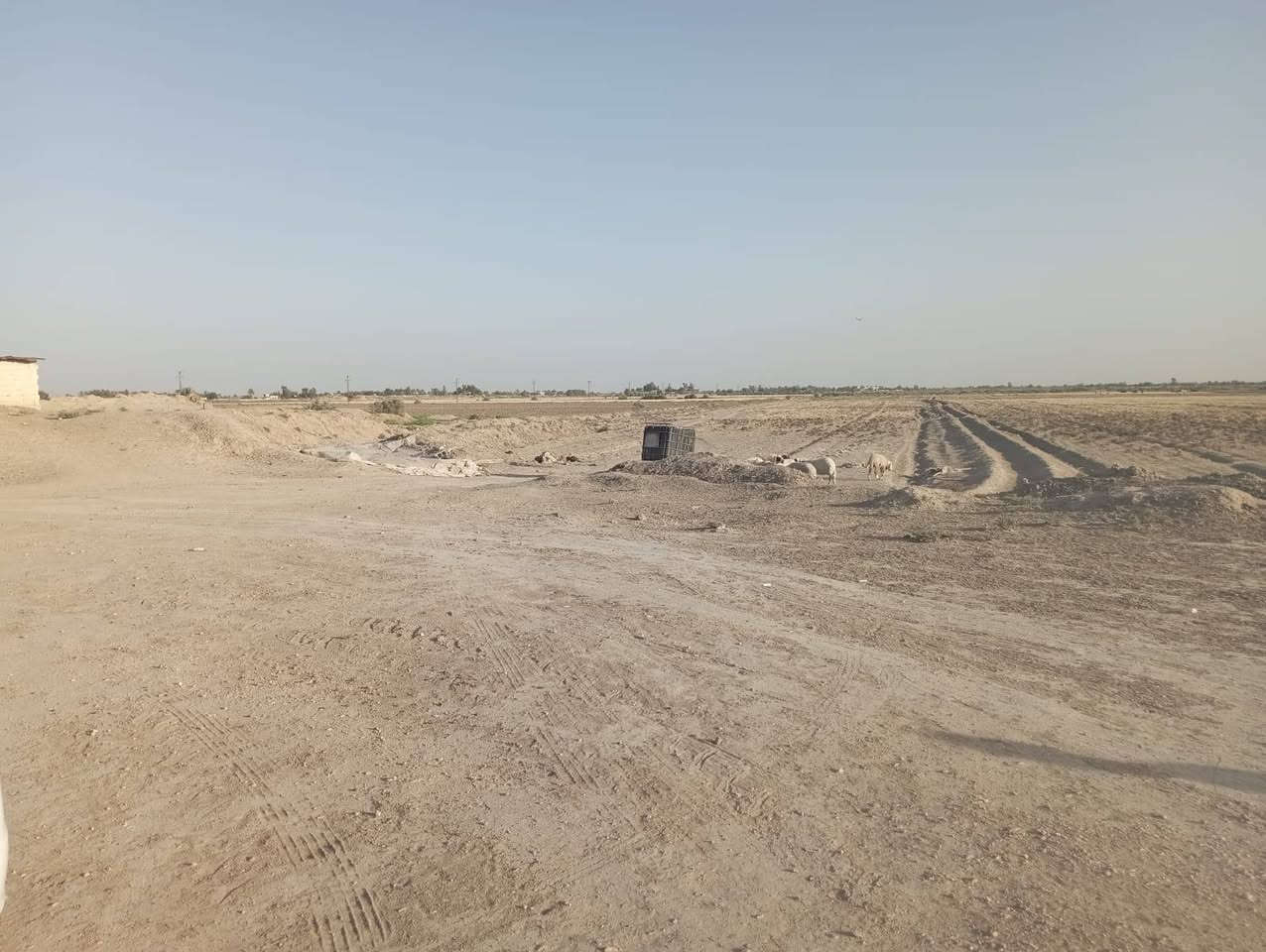 ارض ١٠٠ دونم طابو صرف بابل الحله  سنتر عل تبليط واجه ٢٥٠ متر كافه الخدمات بسم شخصين  استفسار ***********
