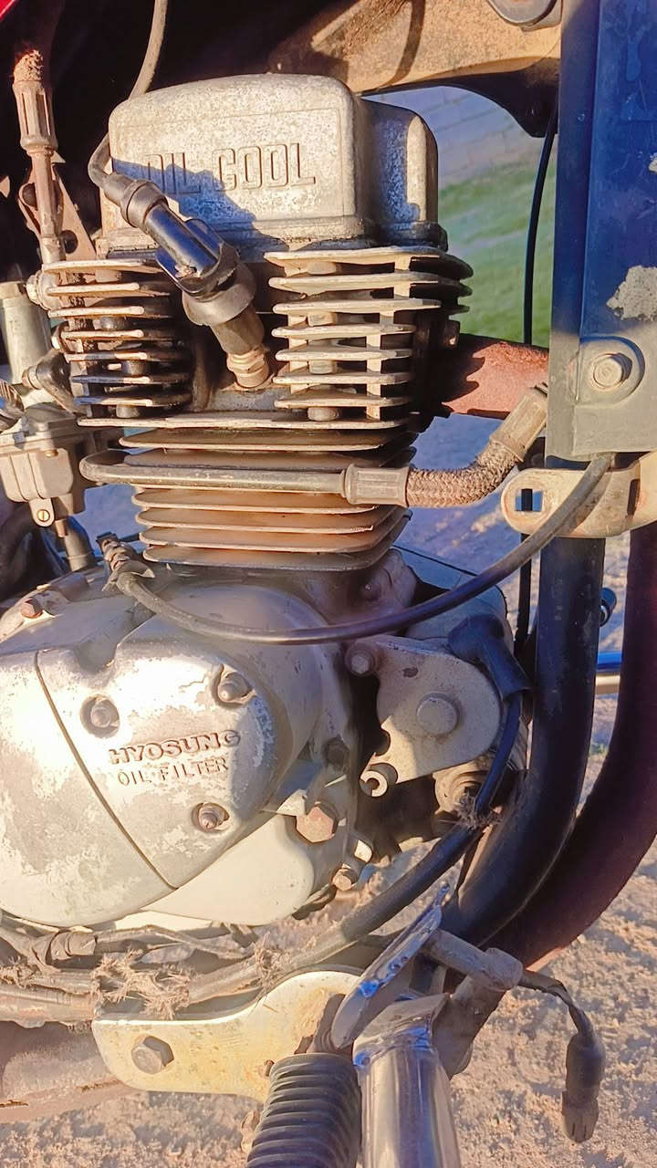 السلام عليكم ماطورات هارليات ثنين ولف واحد شغال خير من الله ماعايزه اي شيء والثاني تفصيخ  المكان بلد مدخل 9 للستفسار اتصل
***********
***********
