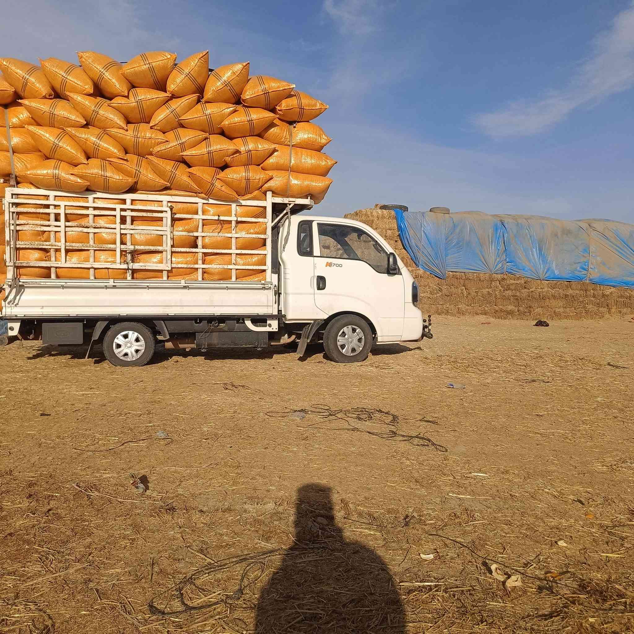 السلام عليكم تبن لبيع بنسب لسعار لرايد تبن يتصل *********** وتوصيل لباب بيتك وددلل  وذا كميه
