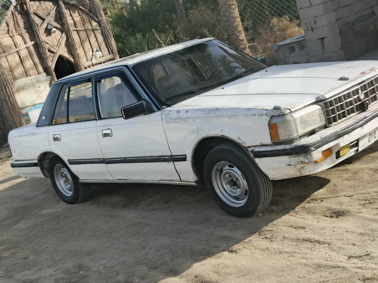 سلام عليكم سوبر البيع ٨٥ السعر  ٣٠ وبيه مجال مكاني سوق الشيوخ حلوه وجاهزه رقم ذي قار راعيه بل ناصريه‏‪***********‬‏
