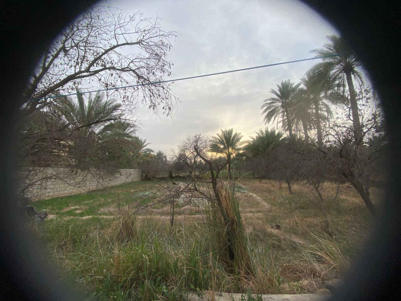 نص دونم لبيع على طريق شريفه تبعد كيلو كافه خدمات بيه سعر ٢٥ طابو زراعي سند ٢٥


**إذا كنت صاحب هذا الإعلان وتريد حذفه لأي سبب، رجاءا أرسل رسالة إلى الدعم الفني**