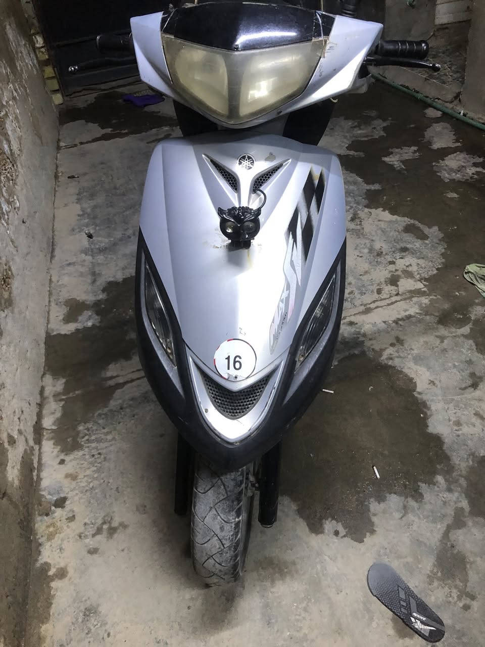 ماكس ثعلب للبيع مكاني بغداد جسر دياله القديم السعر ٣٥٠ وبيع مجال  رقم ***********
