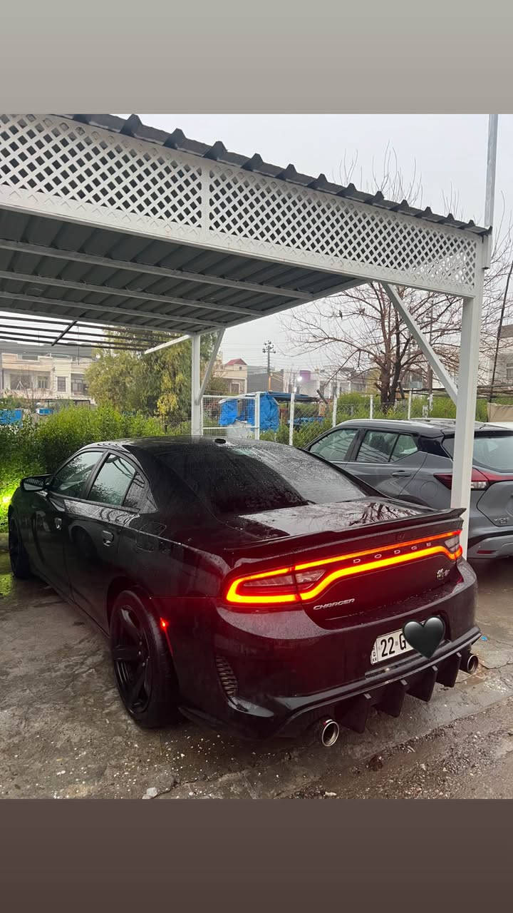 سلام عليكم
ماشاءالله تبارك رحمان 
Charger 2021 SXT PLUS
تحويل وكاله نفسل يوم
گير محرك اكسل مكفول
فول فول
فتحه
كشن خزن
٤ كشن هيتر +ستیرن
کشن تبرید
حاسه خلفی
کشن جلد
بنيد SRT
ويلSRT
دعامياتSRT
سياره ٢ قطعه مصبوغ بنيد مبدل SRT
شويه pdr بل باب نفر
بدون دواخل
شاصي لوغد بطانه مكفول
مكان أربيل 
سعر بلاش 218 وڕەقە  بي شويه مجال
واتساب 0️⃣7️⃣5️⃣1️⃣7️⃣2️⃣2️⃣7️⃣2️⃣3️⃣2️⃣ أربيل, العراق
