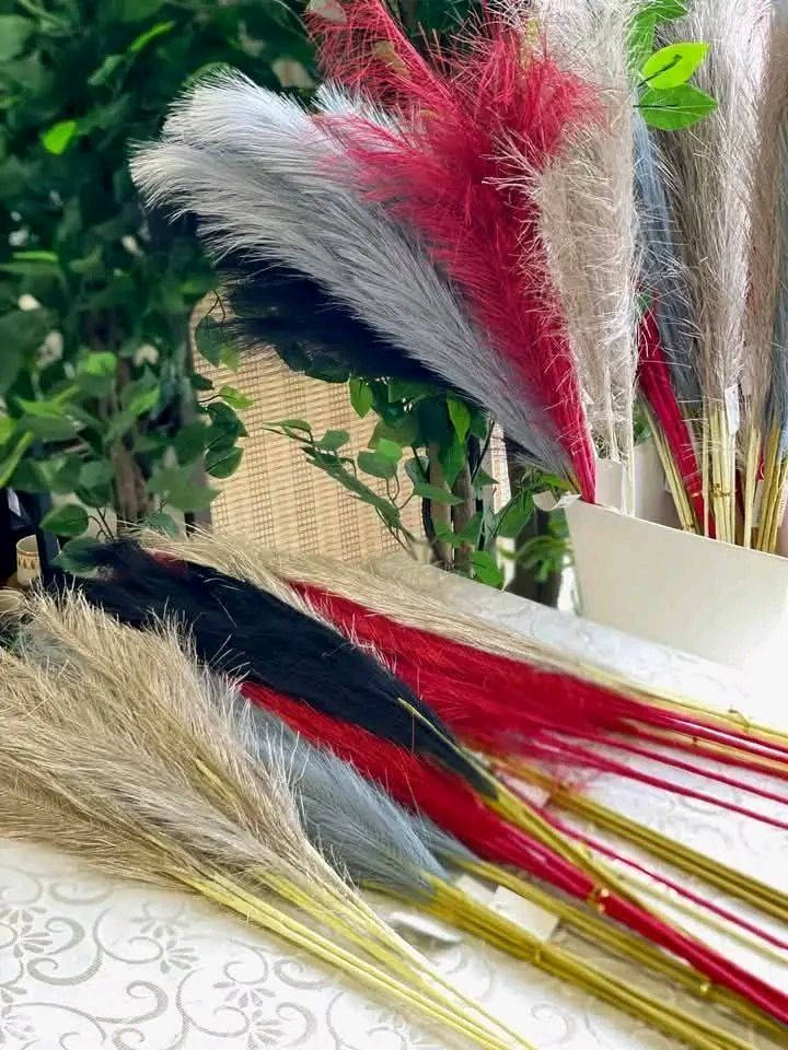 متوفر الآن ريش ديكور مميز جدًا 🪶
يضيف لمسة أناقة لأي زاوية في البيت ✨
متوفر بعديد من  الألوان لتناسب ذوقكم 💫
اختاروا ألوانكم المفضلة واستمتعوا بالتجديد 😍


**إذا كنت صاحب هذا الإعلان وتريد حذفه لأي سبب، رجاءا أرسل رسالة إلى الدعم الفني**