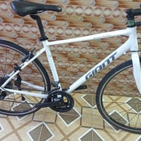 GIANT • فريم كاربون • 2×8 سرعات