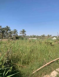 نصف دونم للبيع المساحه ١٠٠٠ متر الواجه ٥٠ متر والنزال ٢٠ ملك صرف سند ٢...