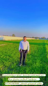 المدائن سلمان باك • ٥٦٢٥م • طابو ملك صرف