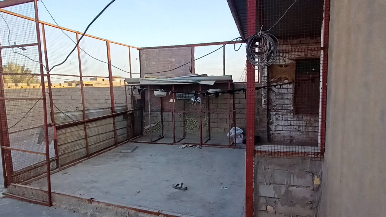 دار سكن بناء حديث طابوك وكونكريت في القرنة الشرش قريب على شارع الضباط يبعد عن الشارع 30 حوالي 50 متره البيت متكون من ديوانيه و غرفتين نوم و هول وصاله ومطبخ كما واضح وصحيات خارجيه وداخليه ومساحه البيت 250 متر  السعر 120 طابو زراعي للاستفسار على الرقم  ***********
