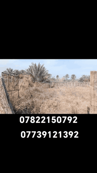 يالله
دونم طابو زراعي لبيع بالكوفه بالبراكيه شارع المعمل مقابيل مدرسة علي الرماحي جهه الشط 
يبعد عن الشارع المعمل ٥٠٠متر
شارع 10 متر
 لمعرفه السعر اتصل على 
***********
***********
او مراجعة مكتب حيدر الزبيدي للعقار والمقاولات
عنوان المكتب بشارع المعمل قرب مدرسة الازدهار
