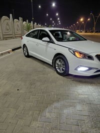 سوناتا • بيضه • غاز