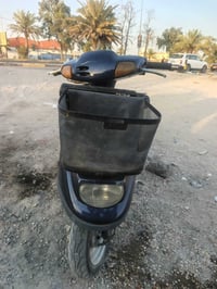 منغولي • شغاله • كربلاء