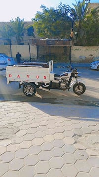 ستوته • دايون • موديل ٢٠٢٢