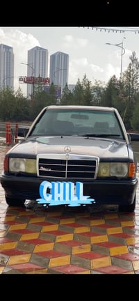 ١٩٠ • بدون صبغ • رقم اربيل