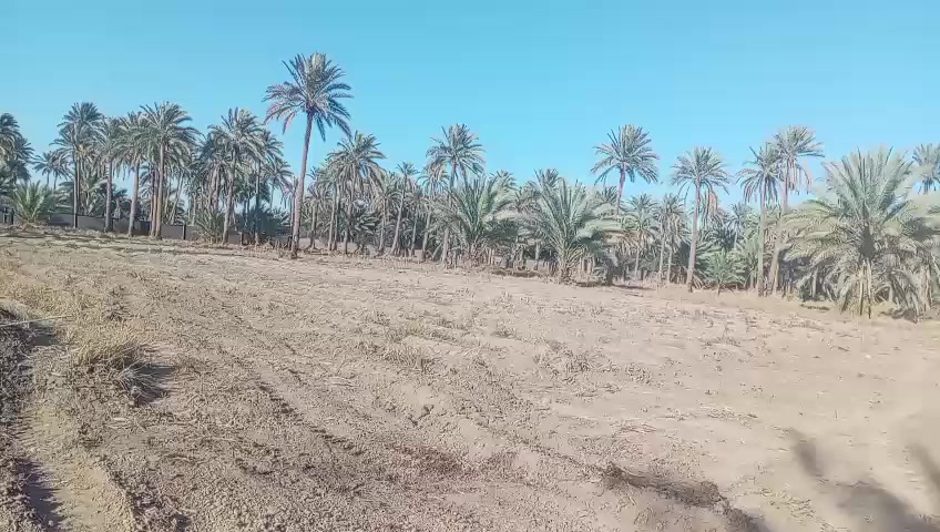 قطعه أرض للبيع دونم ونص لمكان رشيده قرب مدرسه الوطن العربي للاستفسار ***********
