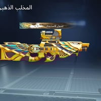 حساب ببجي • ٢٥ سلاح مطور • سيزنات ٨-١١