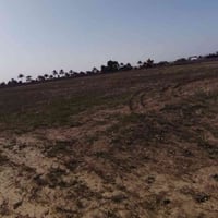 دونم • طابو صرف • العلم قرب صيطره