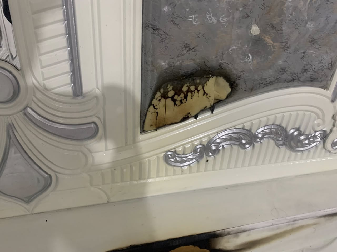 سلام عليكم عدي غرفه لبيع بيه هاذه حرك زغير ولله غرفه جديده بيه بس هاذه حرك زغير غرفه صارله شهر لو اقل شهر من اشتريته قيم بل يرضي الله و اخذه


**إذا كنت صاحب هذا الإعلان وتريد حذفه لأي سبب، رجاءا أرسل رسالة إلى الدعم الفني**