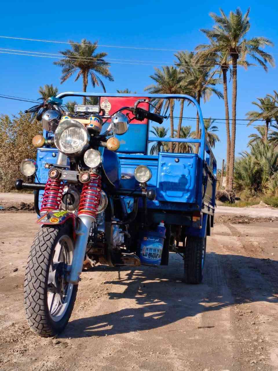 فحل للبيع مديل 23.  ***********
