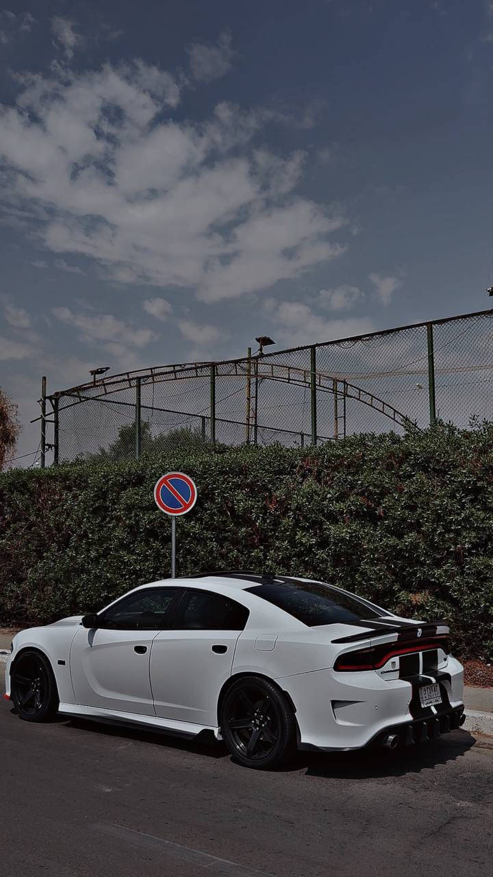 جارجر rt موديل ١٩
السيارة كلين صبغ دعاميات فقط
ماشية 68 ميل 

مواصفات
فتحة
رادارات جانبية نقطة عمياء
كشنات احمر جلد شاموا
ويل نجمة 
حساسات خلفية 
ولف حماوة ماشميتو
اويل كاج كان 
فيت بم ريسنك 

السعر 25750 $ 

***********
