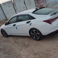 النترا • ٢٠٢١ • وارد امريكي