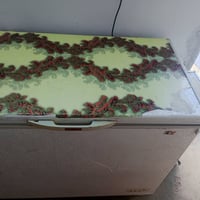 مجمدة • شرط التجميد • جديدة