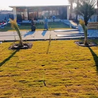 🌿✨ مزرعة للإيجار اليومي – أجواء راقية وراحة تامة ✨🌿  تدور مكان ترتاح ب...