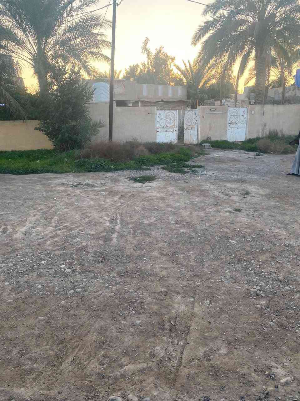 سعر 70 مليون  اقل من سعره الحقيقي 
سلام عليكم بيت للبيع طابو زراعي سند 25  📍 موقع نزله جسر الغالبيه طريق بغداد تجاري وسكني تفاصيل اكثر اتصل على الرقم *********** يوجد ايضا واتساب #ديالى
