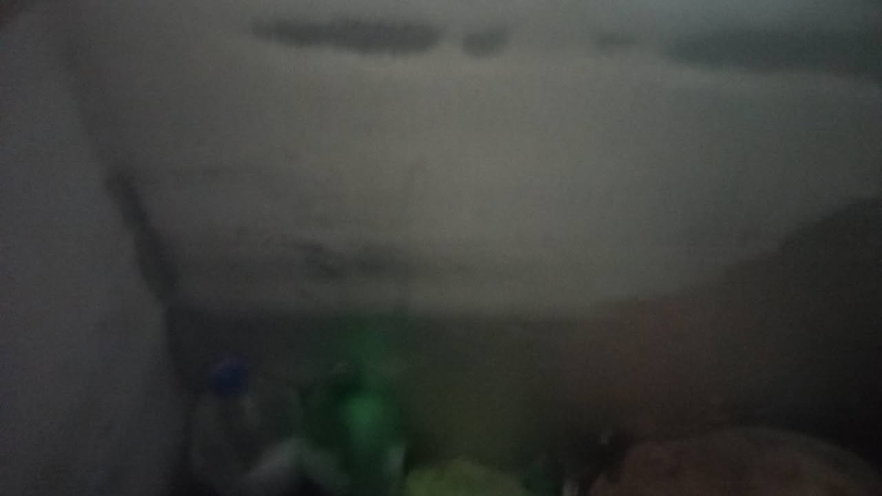 مجمده لبيع 11قدم السعر 100الف ‏‪0788 275 9011‬‏ توصل لبيتك
