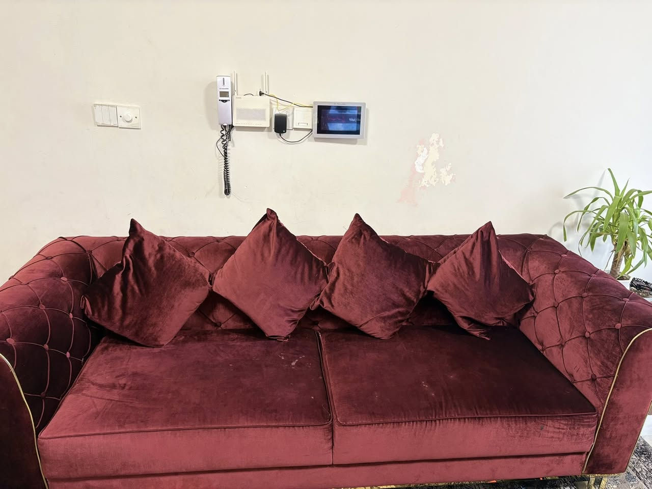 للبيع قنفات عدد ٢ كبار. مع كرسي عدد ٢ متحرك. من معرض الجشعمي للأثاث ماركة أبيكا. السعر الأصلي هو ٣،٤٠٠ مليون. السعر الحالي فقط ٧٥٠ الف عراقي.


**إذا كنت صاحب هذا الإعلان وتريد حذفه لأي سبب، رجاءا أرسل رسالة إلى الدعم الفني**