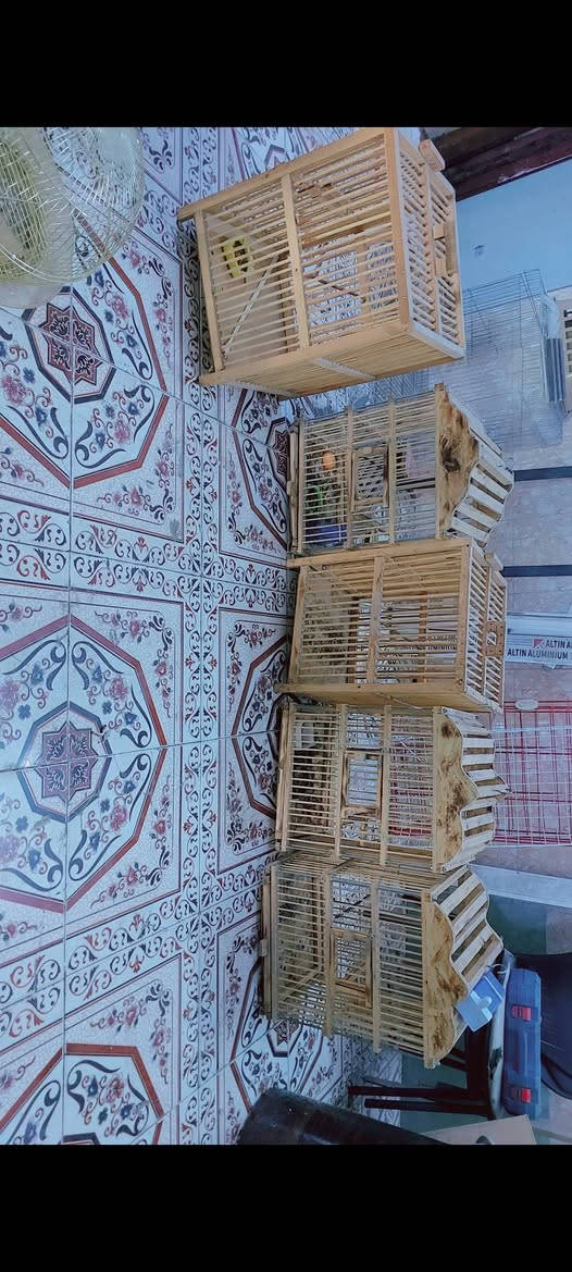 خانات طيور + قفاصة  نواع الحجام +هاسكيات وجهيات حديد *********** المكان ميسان ابرمانة ***********
