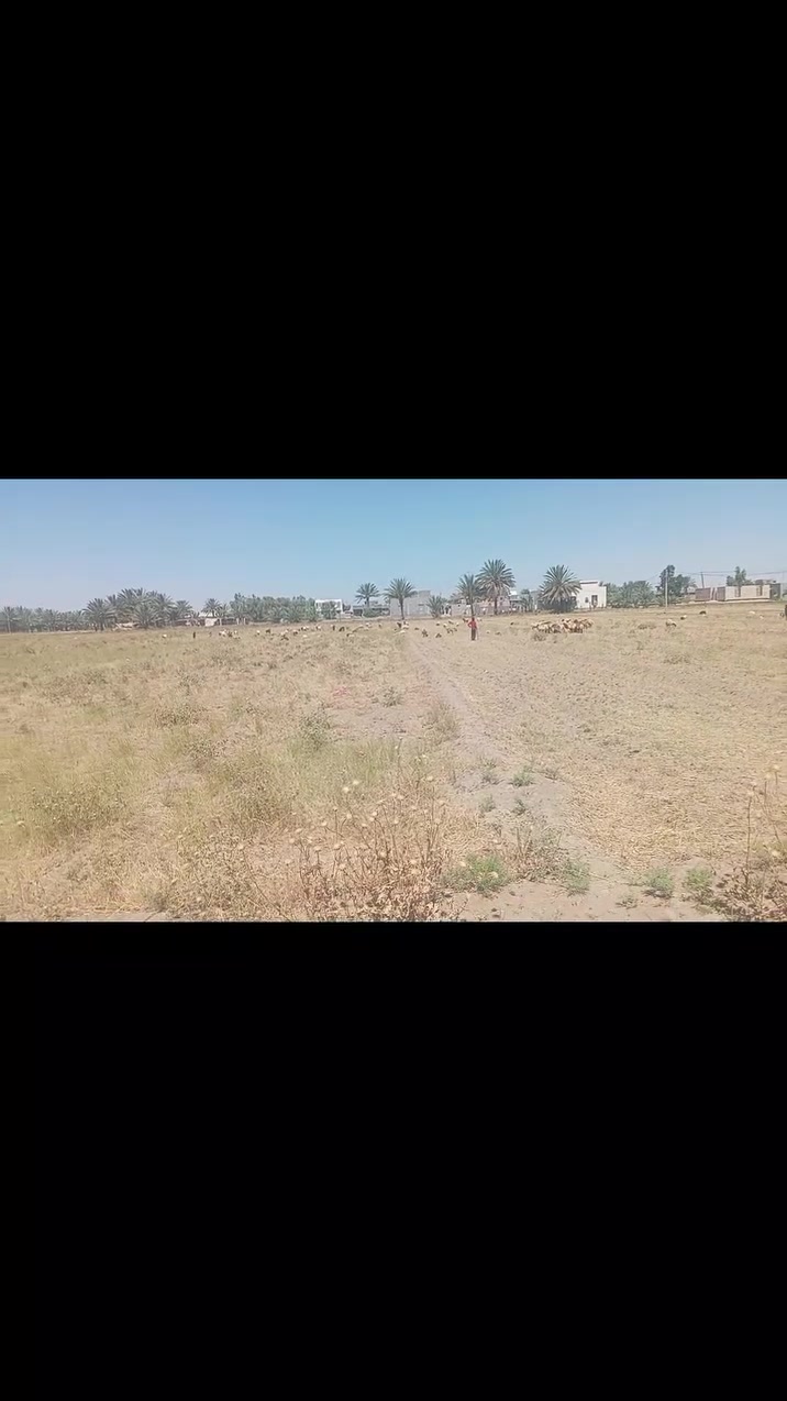توجد 8 دونم للبيع في الرمادي جزيرة الجمعيه الثانيه قرب طريق المرور السريع
 طابو زراعي سند 25
 تنازل مباشر 

واصل جميع الخدمات 

السعر الدونم الواحد 50 مليون وقابل للتفاوض 

للتواصل الاتصال على الارقام التالية أو زيارة مكتبنا على طريق الثرثار قرب الطاحونه 

***********
*********** احمد
