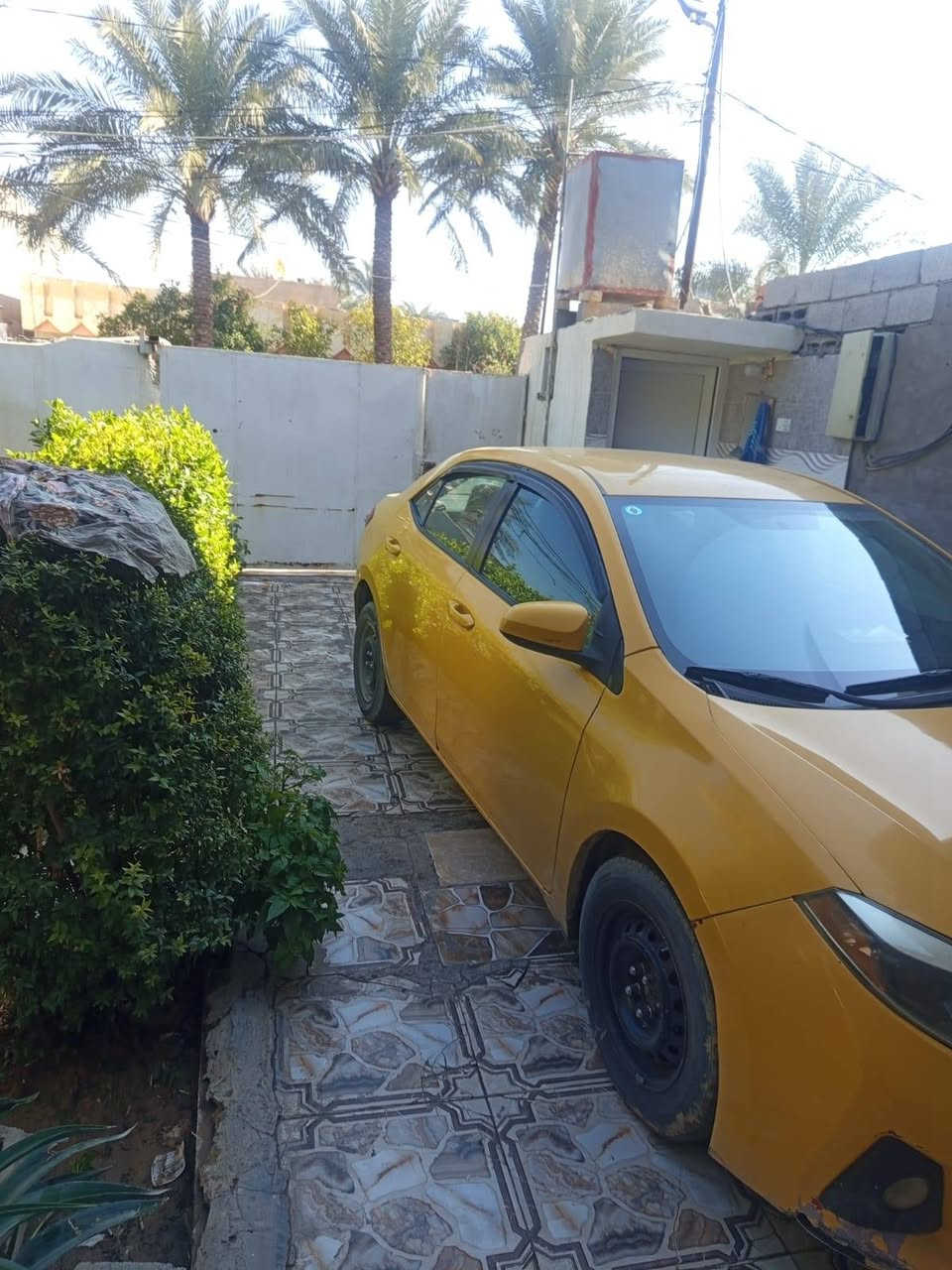 كورلا موديل 2014 رقم بغداد مشروع وطني محرك جديد صار اسبوع مشدود مال 18كير اي تي المرقوب مو سيفيتي الضرر جامرلقين الخلفيات وبونيد دواخل شي بصيط السعر 117 اني وكيل اول أني احول ابكركوك ***********
