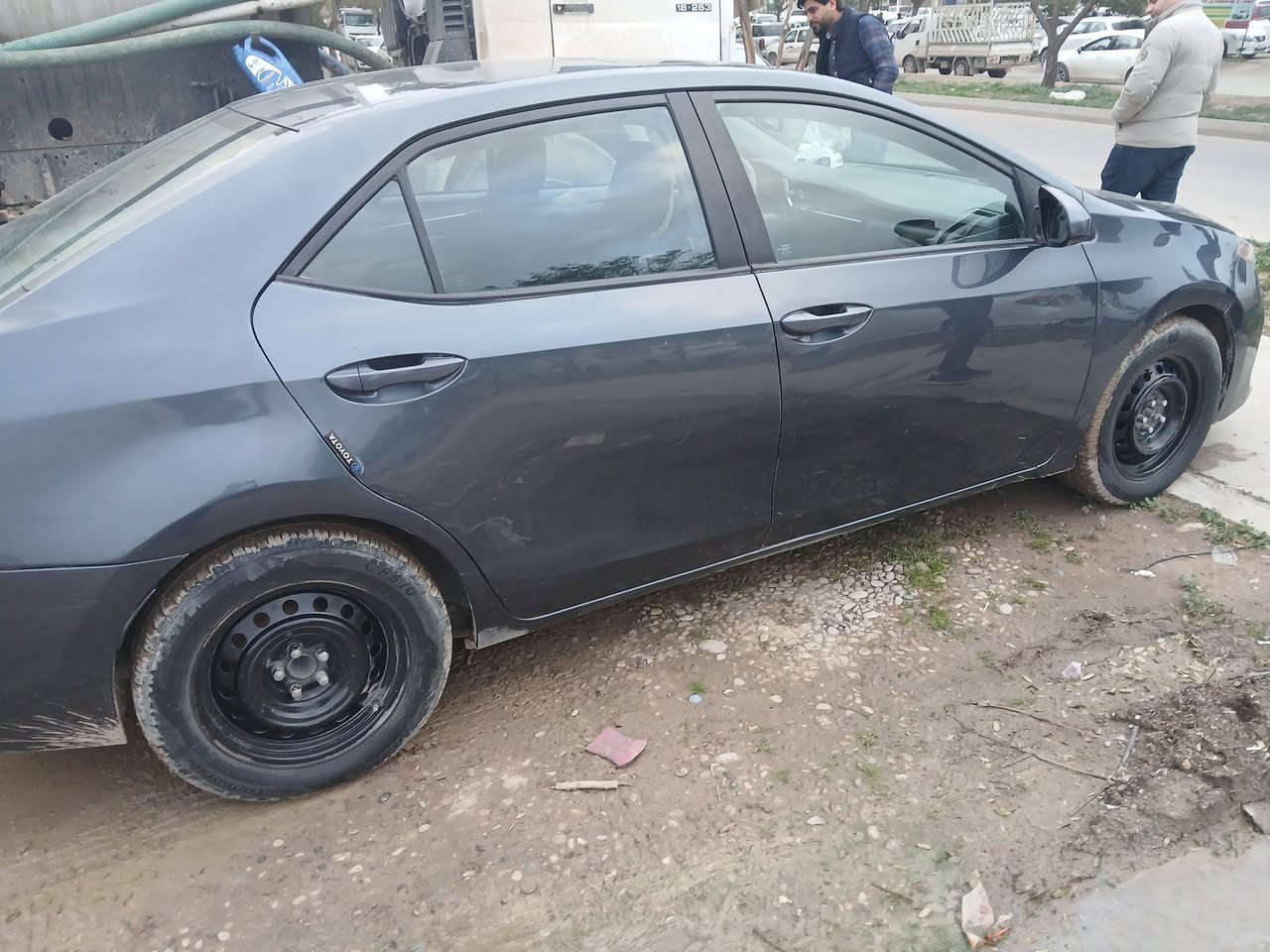 كورلا للبيع مديل ٢٠١٧ امريكي ثلاث قطع بيه امبين بسونار سياره محسن فتحه استرين تتفئه كشنات تتفىه تبريد رادارات رقم سليمانيه بسمي السعر ١٢٥ اتصال على اارقم ***********
