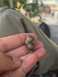 مصوره رباني مبين من شكلها  مكاني بغداد للتصال 07721144262 بغداد, العرا...